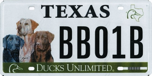 Ducks Unlimited - Three Dogs