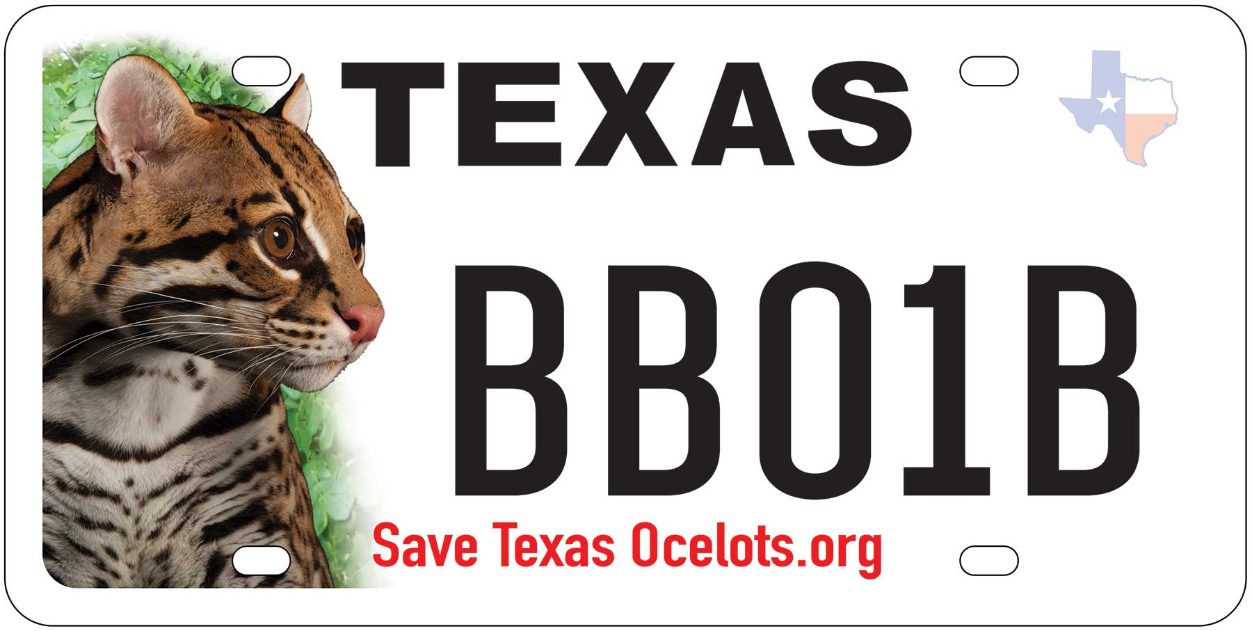 Save Texas Ocelots