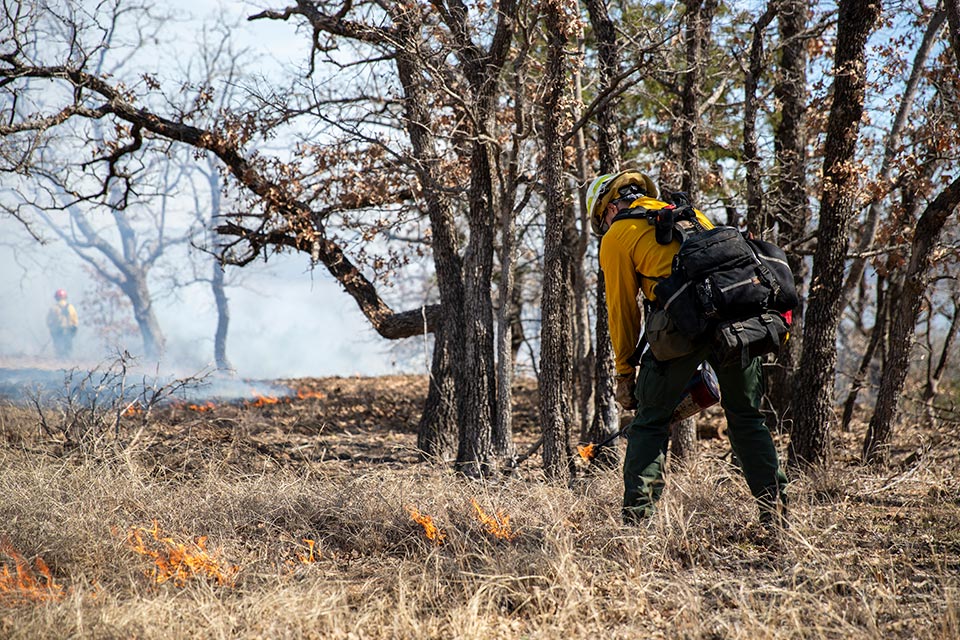 prescribed burn